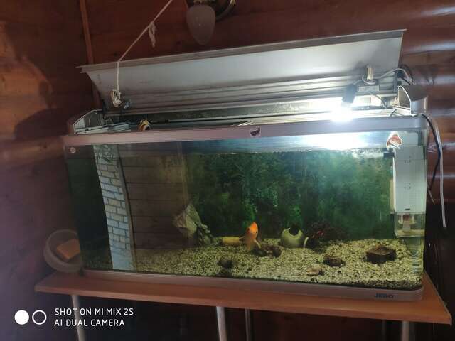 Гостиница Русь Богородицк-34